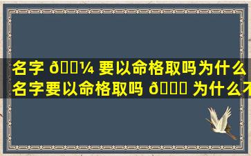 名字 🌼 要以命格取吗为什么「名字要以命格取吗 🐒 为什么不好」